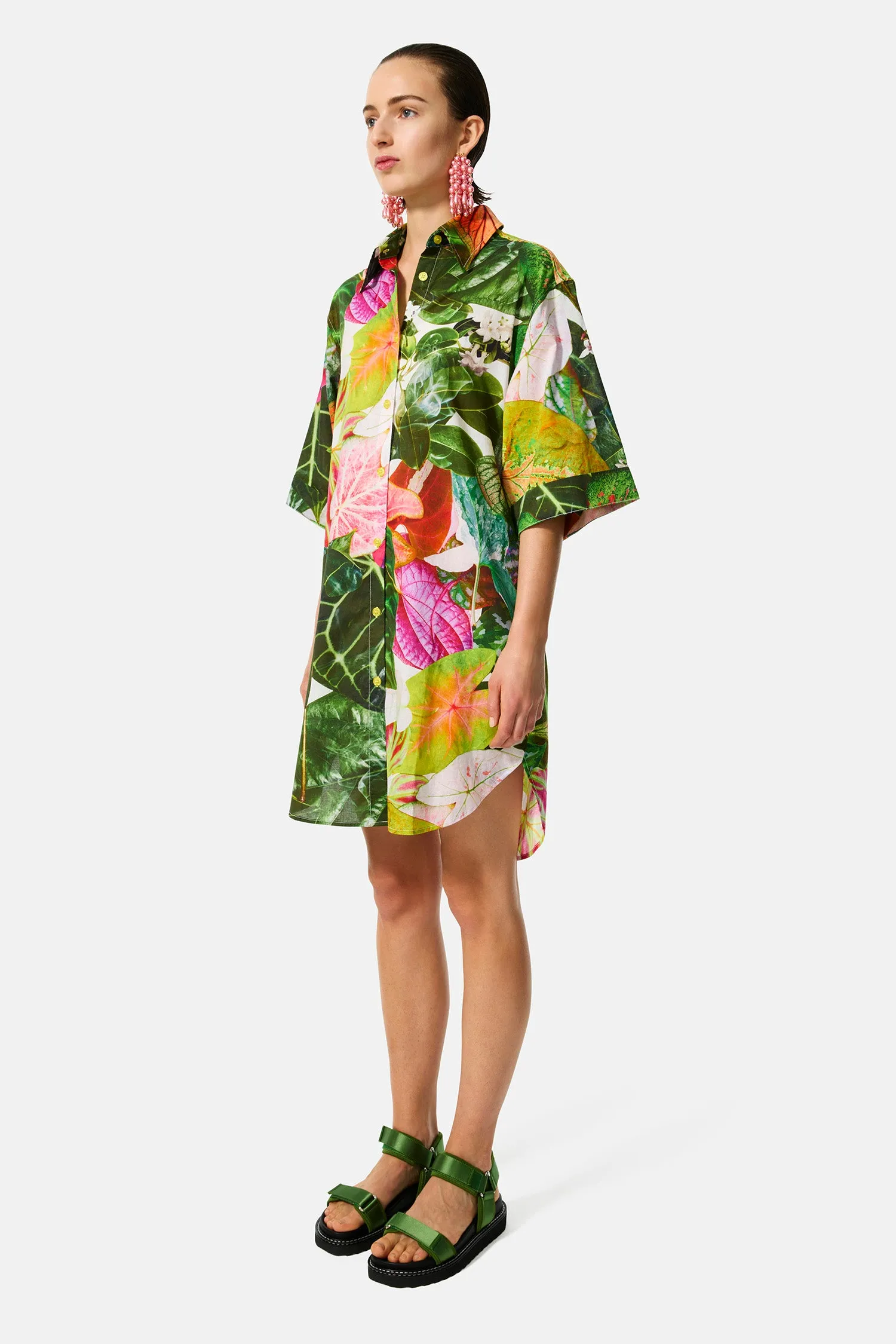 botanical shirt dress