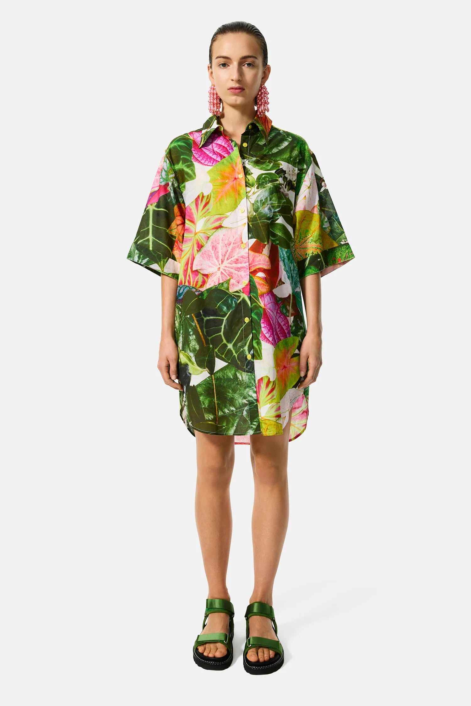 botanical shirt dress