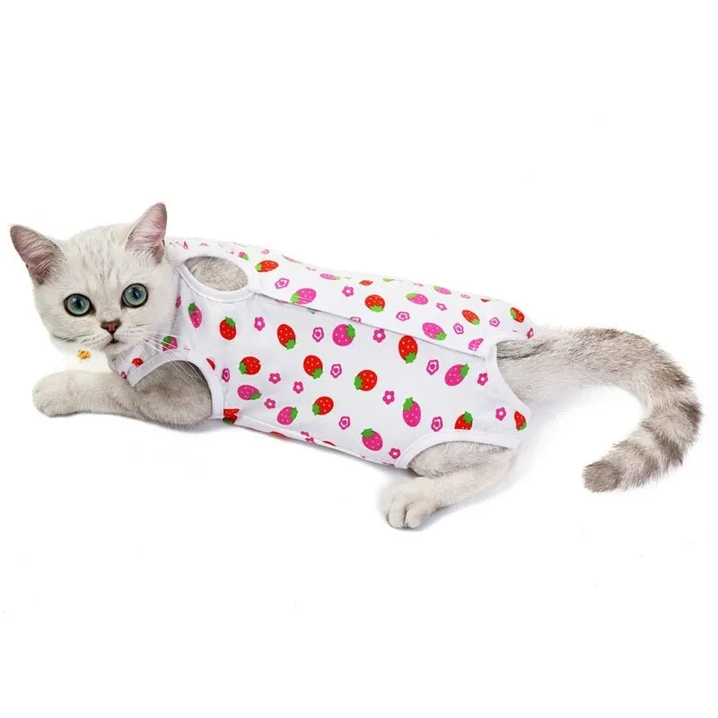 Cat Recovery Suit After Surgery Clothing Anti-licking Vest Pet Care