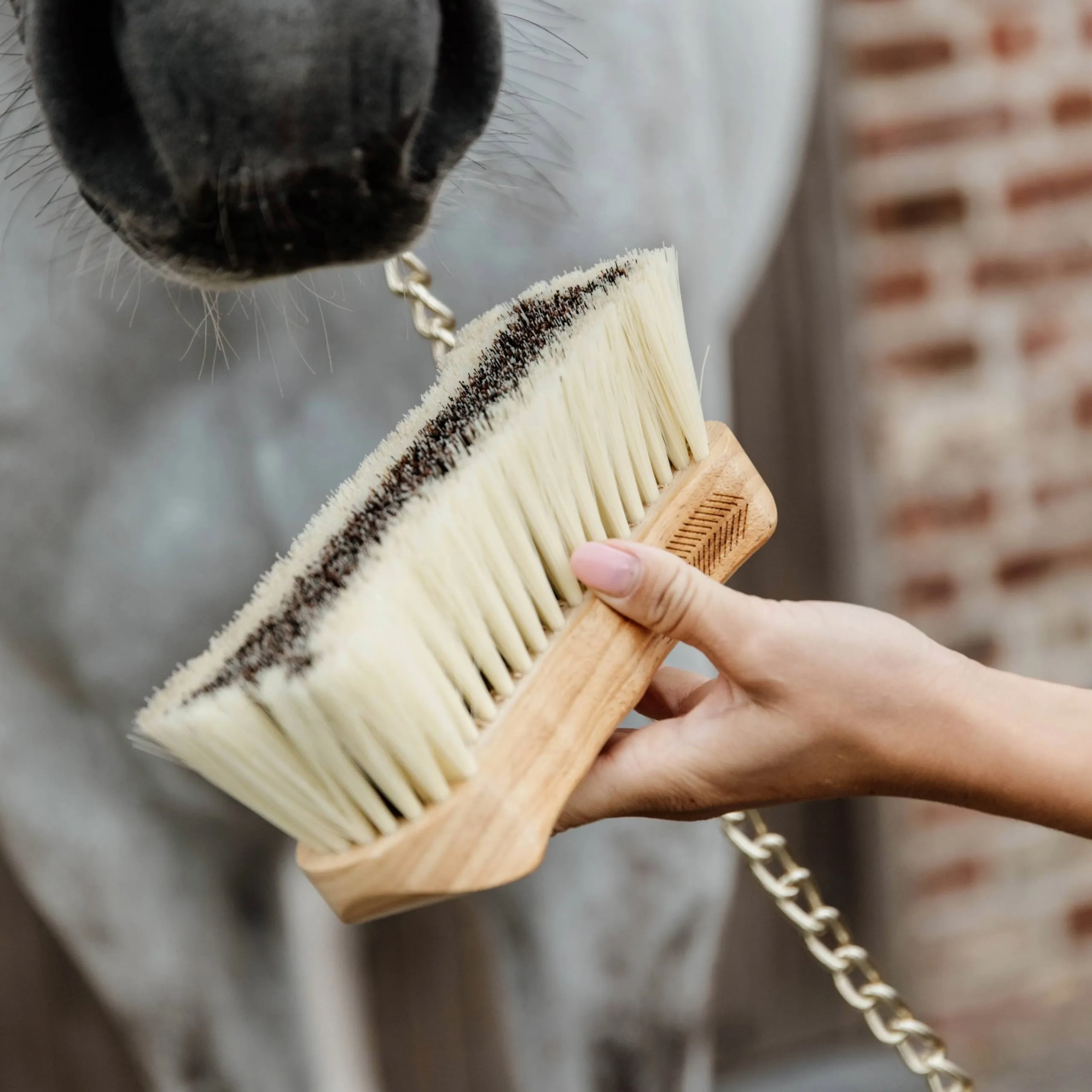 Grooming Deluxe Soft Middle Body Brush