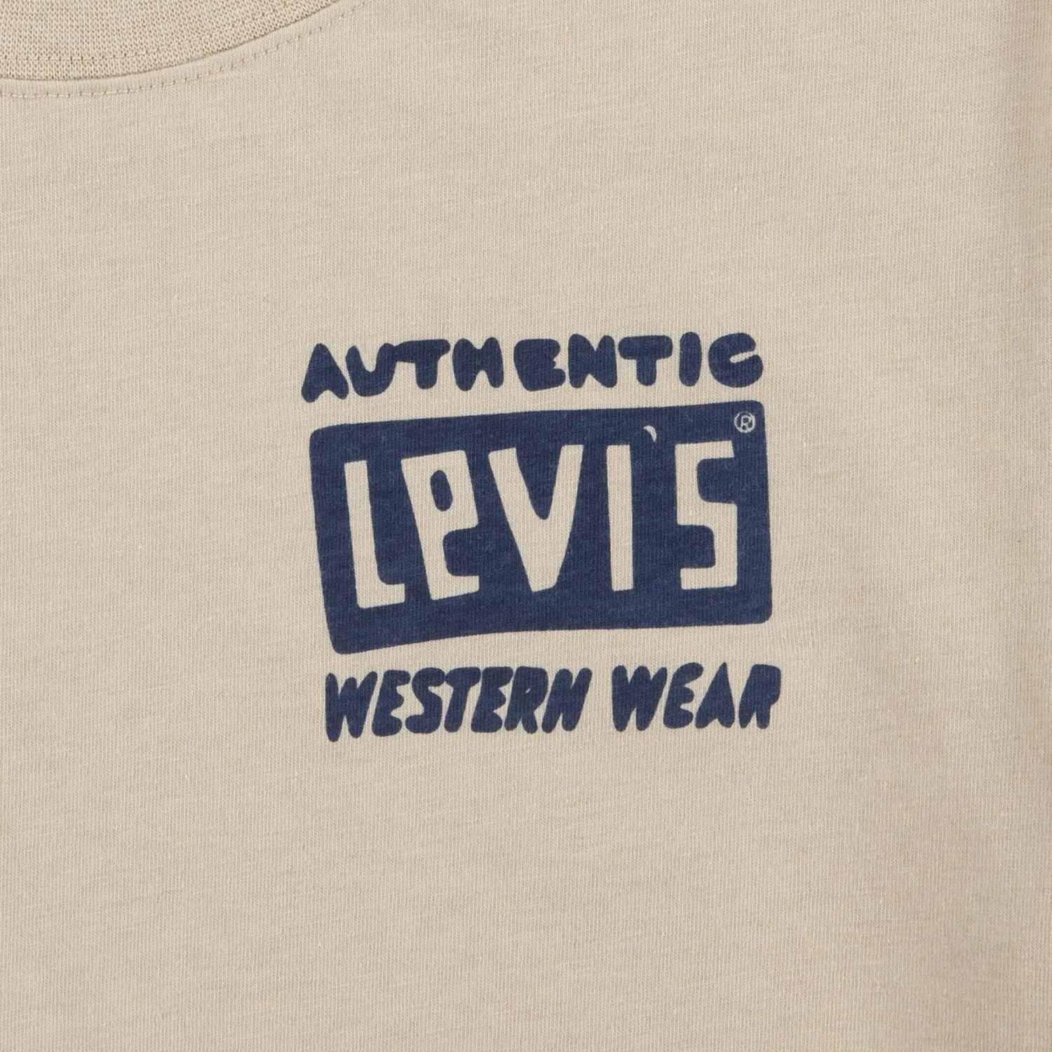 Levi's TAN Cactus Out Tee