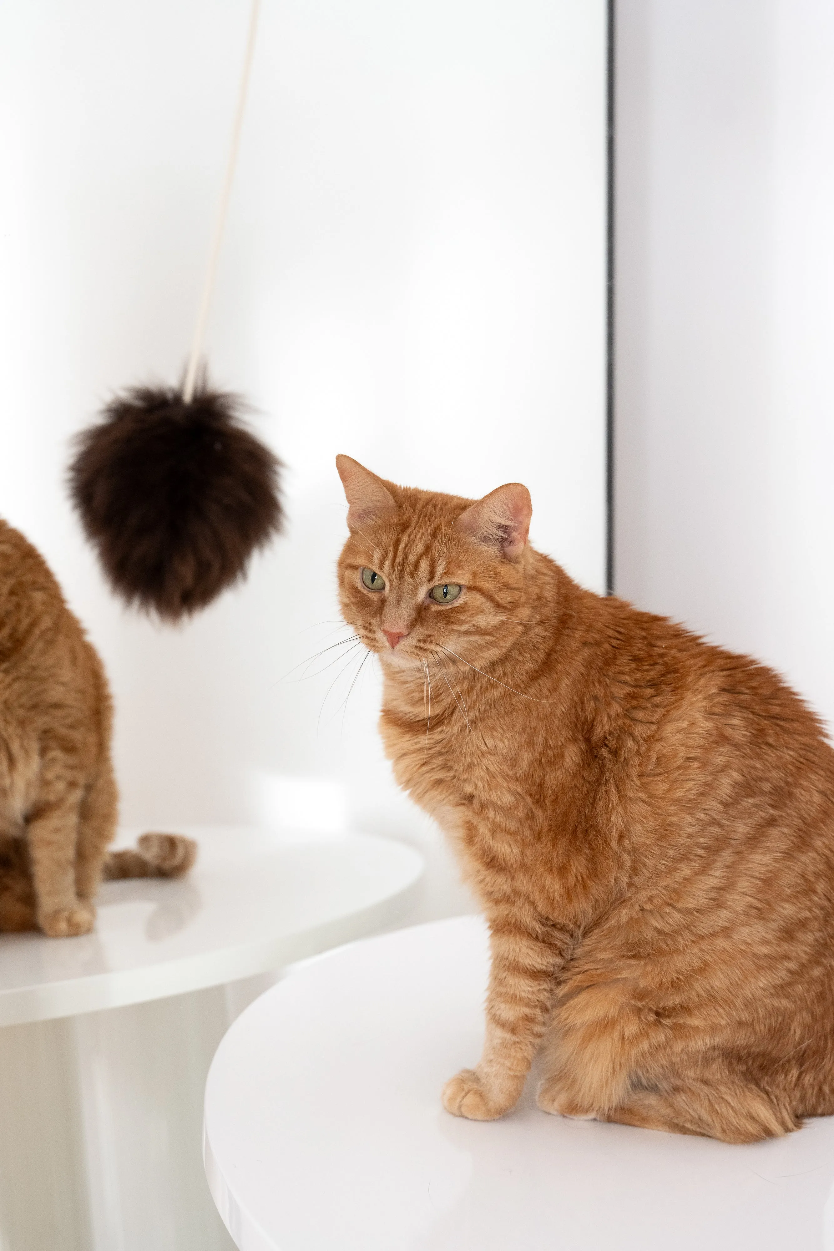 Natural Sheepskin Cat Toy: Ball