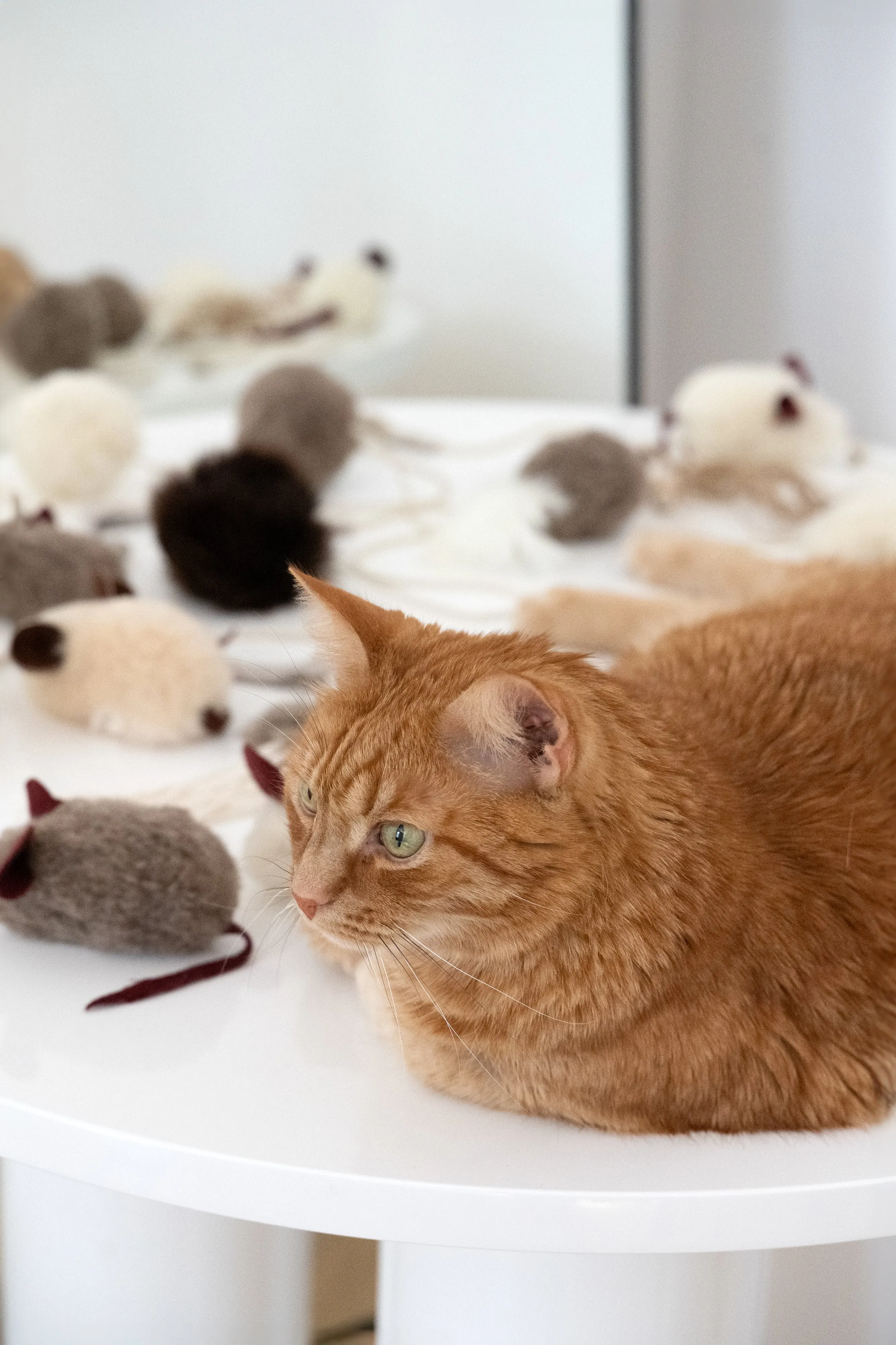 Natural Sheepskin Cat Toy: Mouse