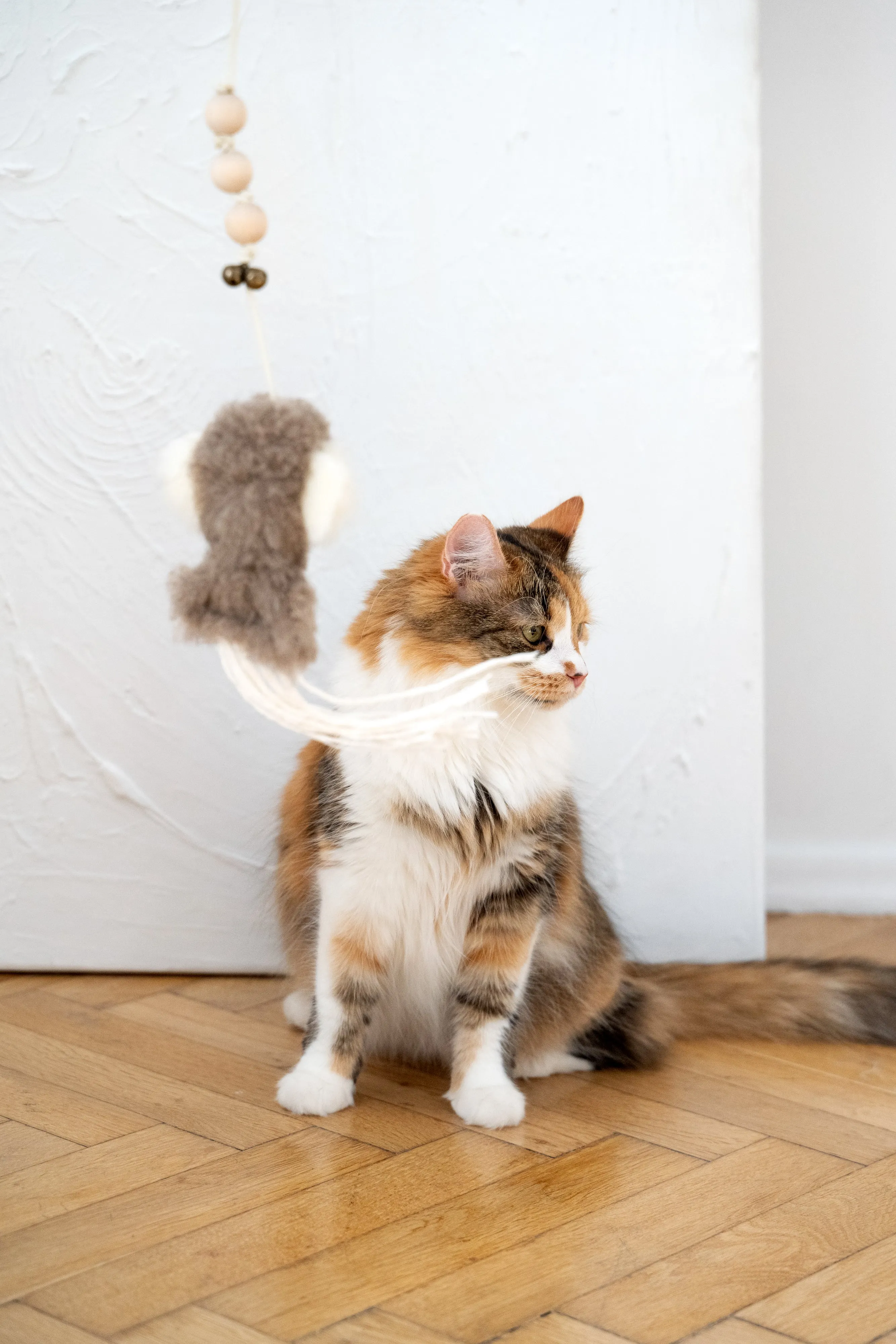 Natural Sheepskin Cat Toy: Squid