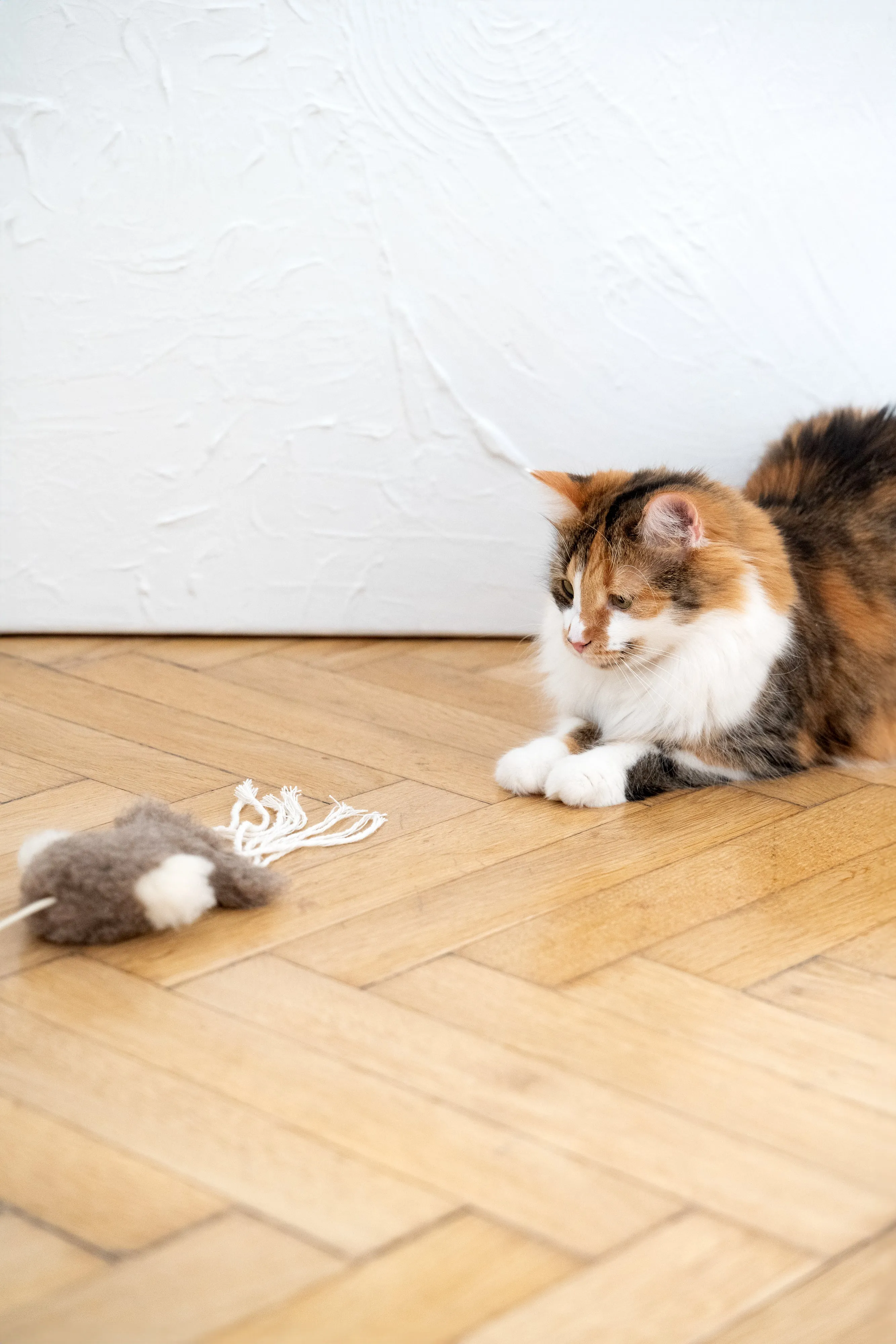 Natural Sheepskin Cat Toy: Squid