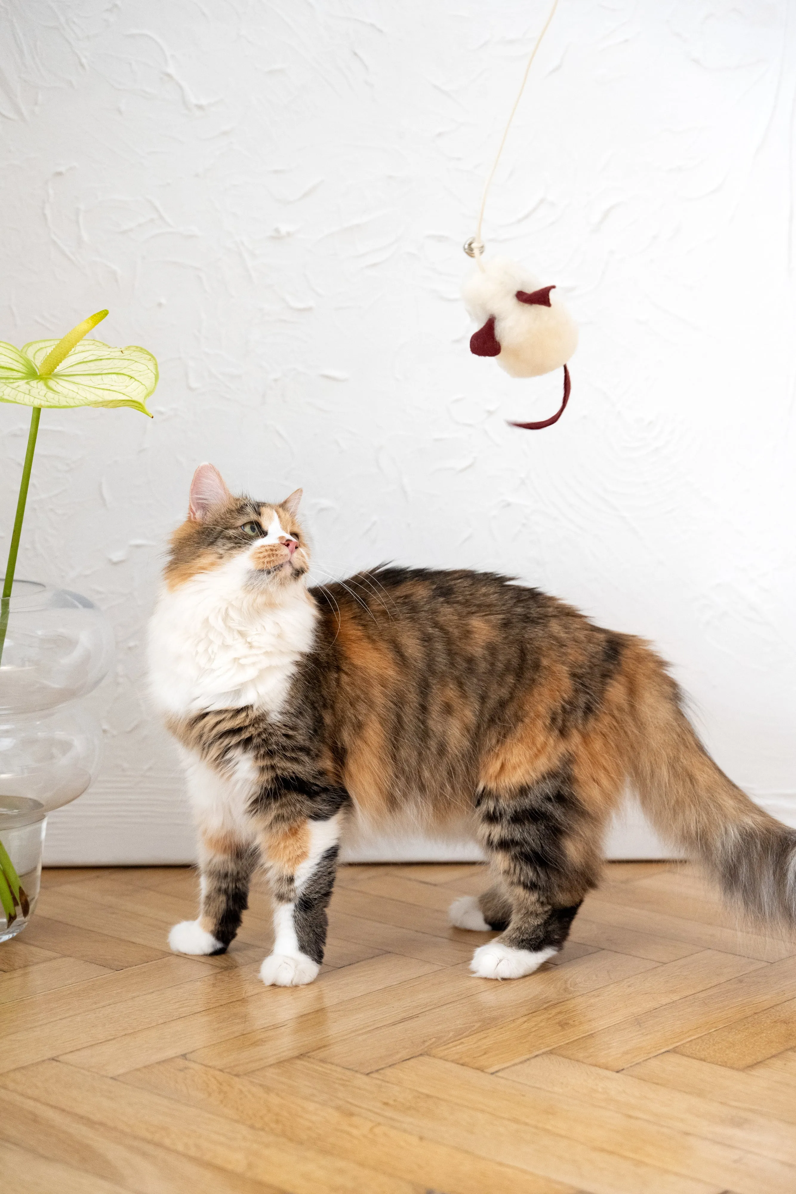 Natural Woolen Cat Toy: Mouse