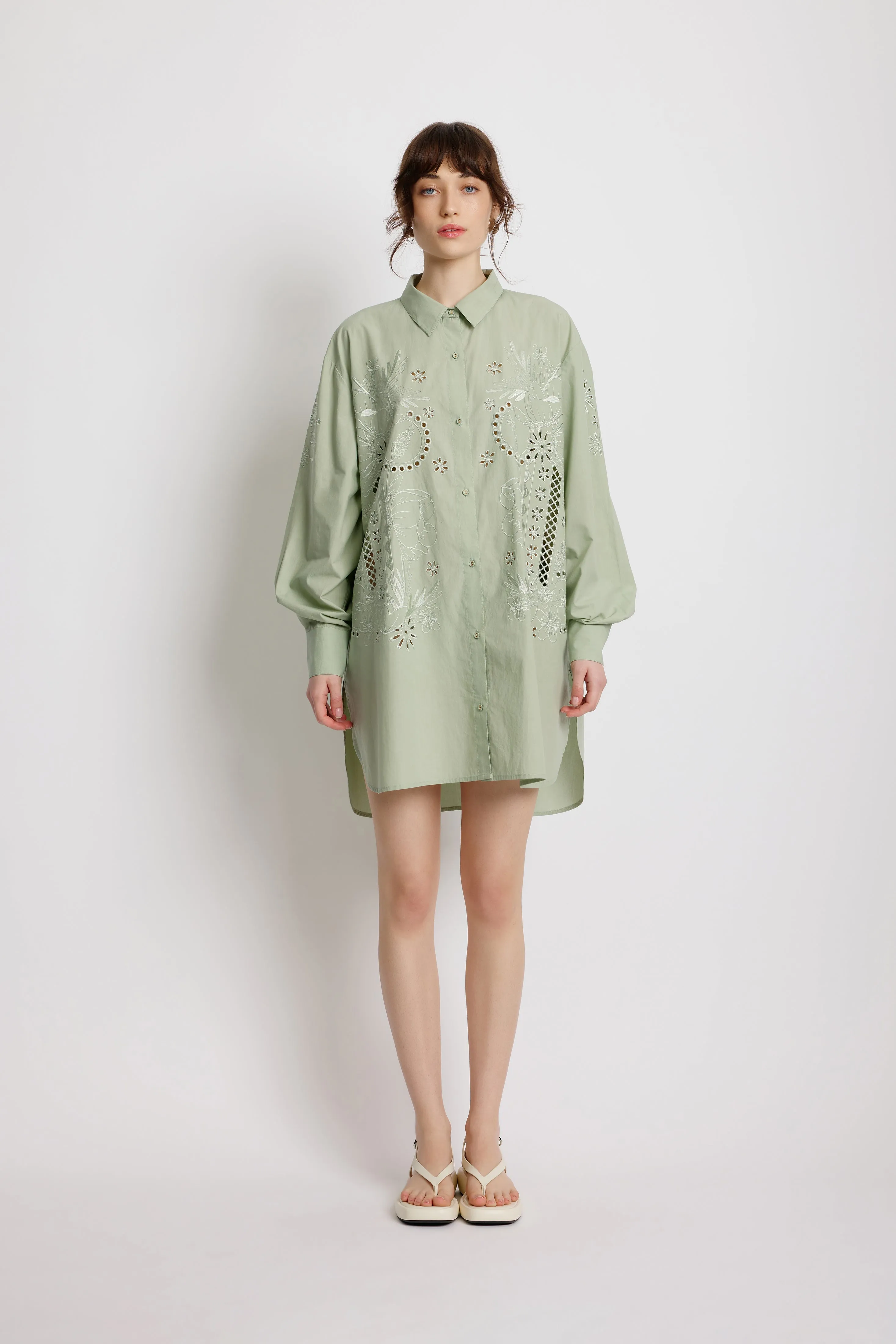 Wild Rose Shirt Dress - Sage