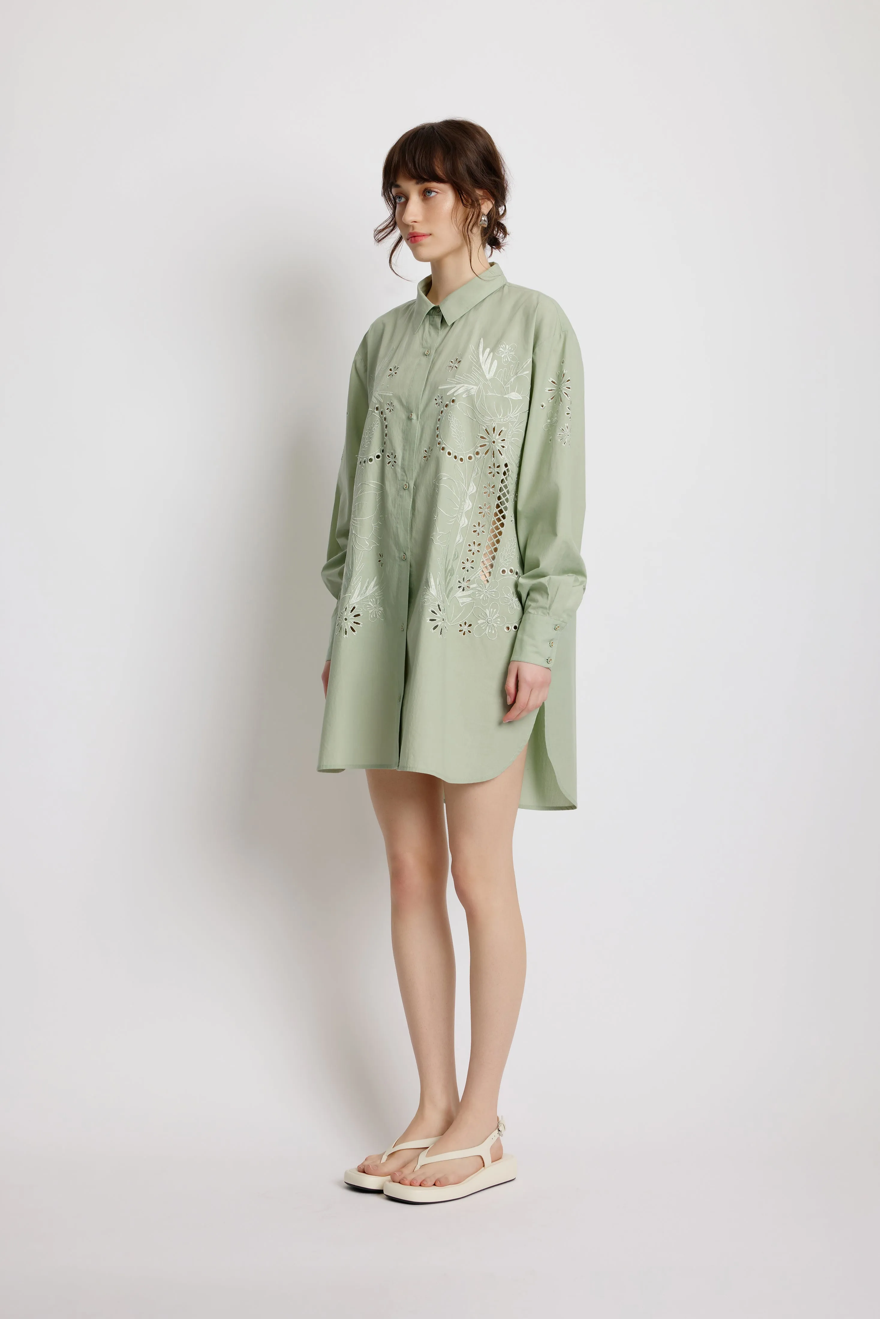 Wild Rose Shirt Dress - Sage